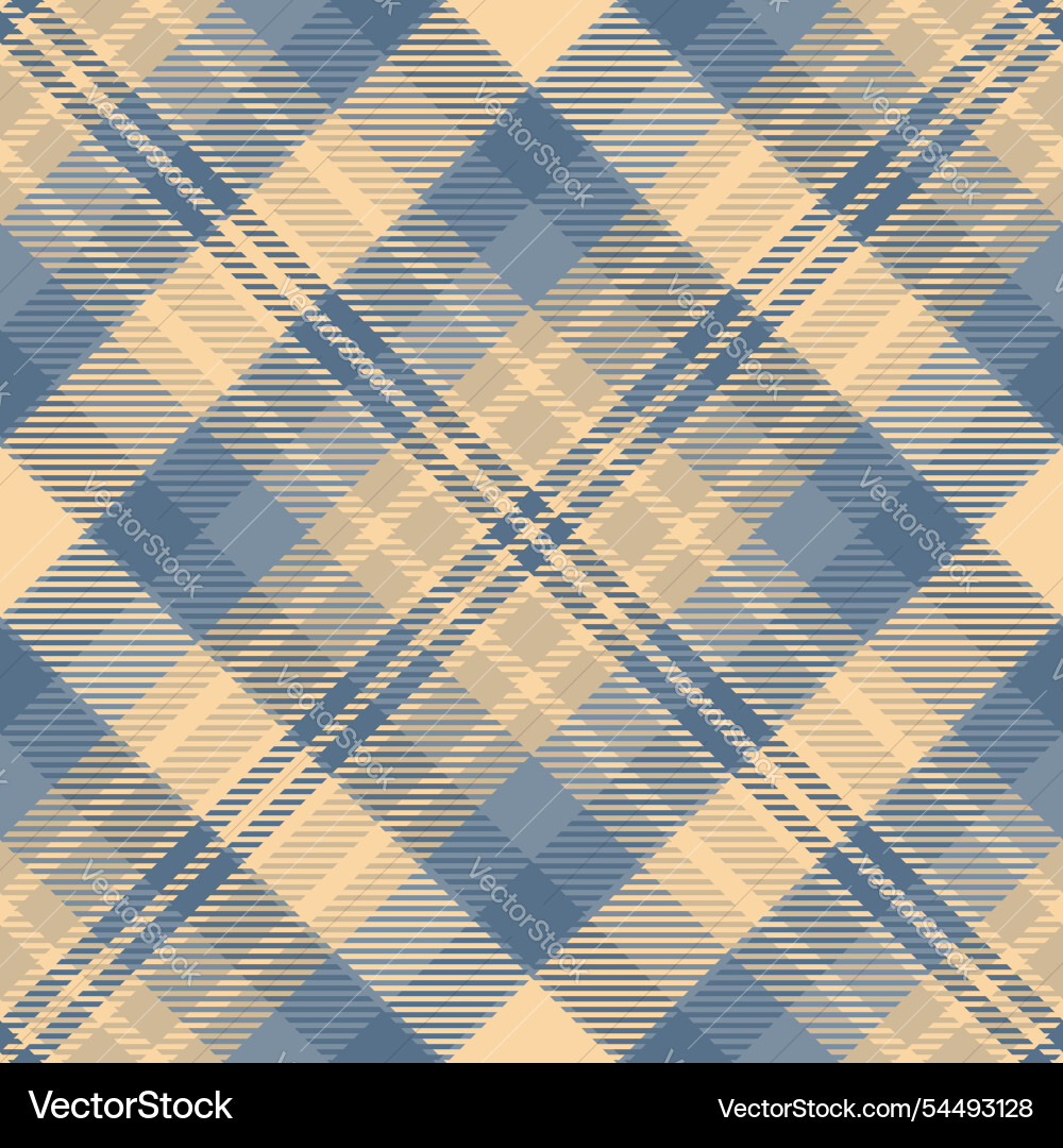 Self fabric tartan shape pattern check texture Vector Image