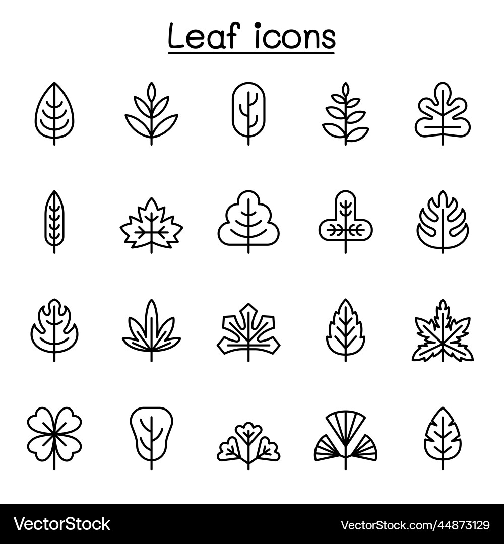 Leaf icon set in thin line style Leaf icon set in thin line style vector image