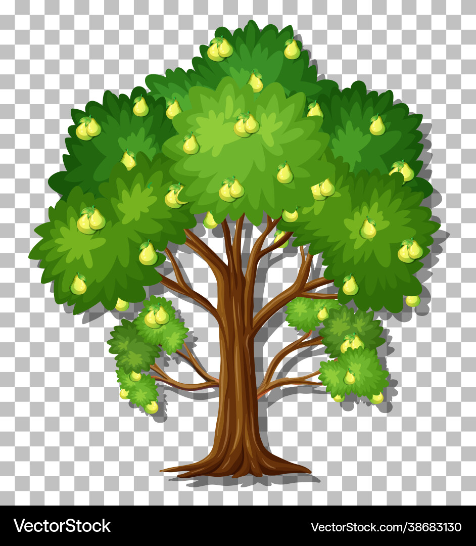 Pear tree on transparent background Pear tree on transparent background vector image