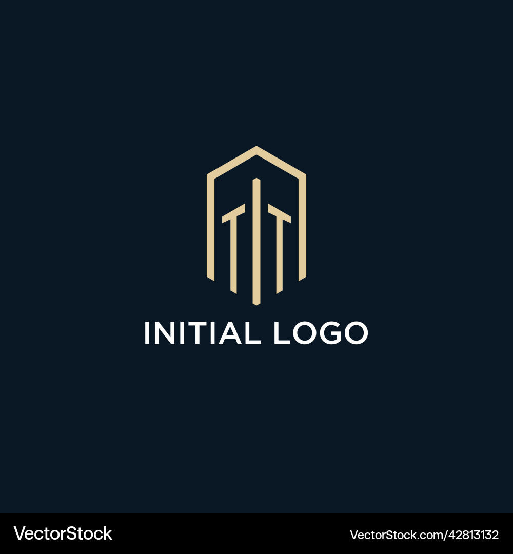 Tt initial monogram logo with hexagonal shape Vector Image