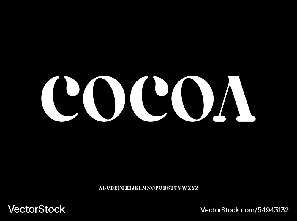 Unique bold rounded serif alphabet display font vector image