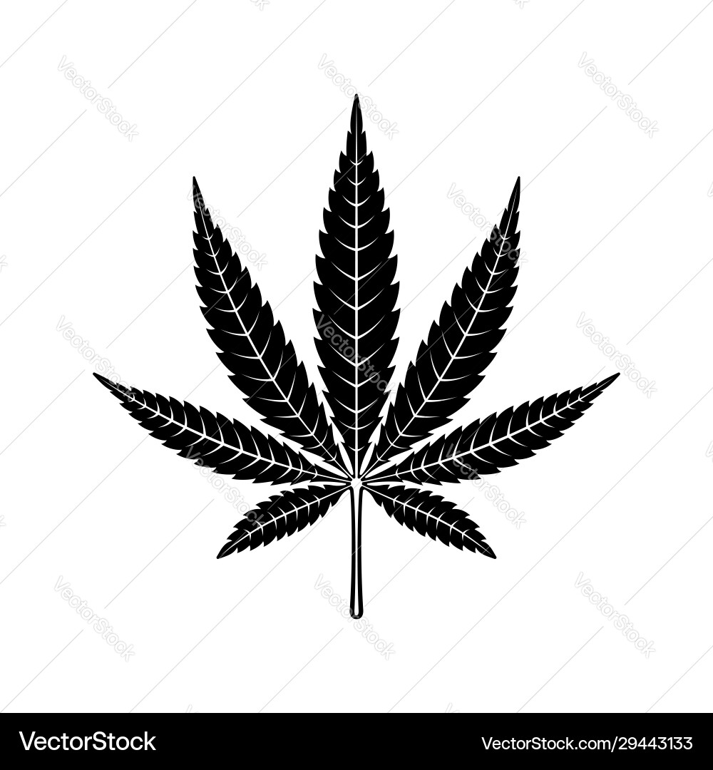 Cannabis Leaf Icon Vector Image
