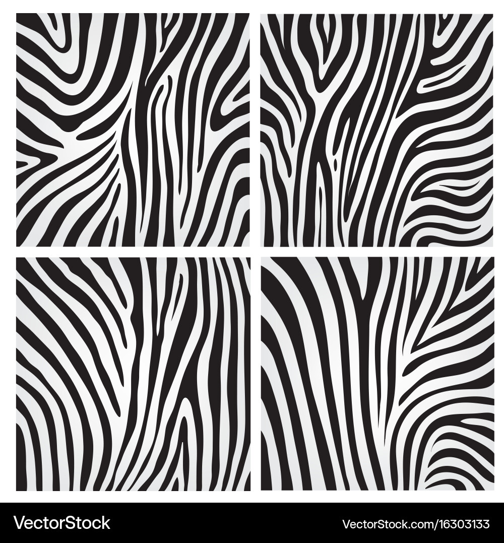 Zebra Print Abstract Pattern vector image