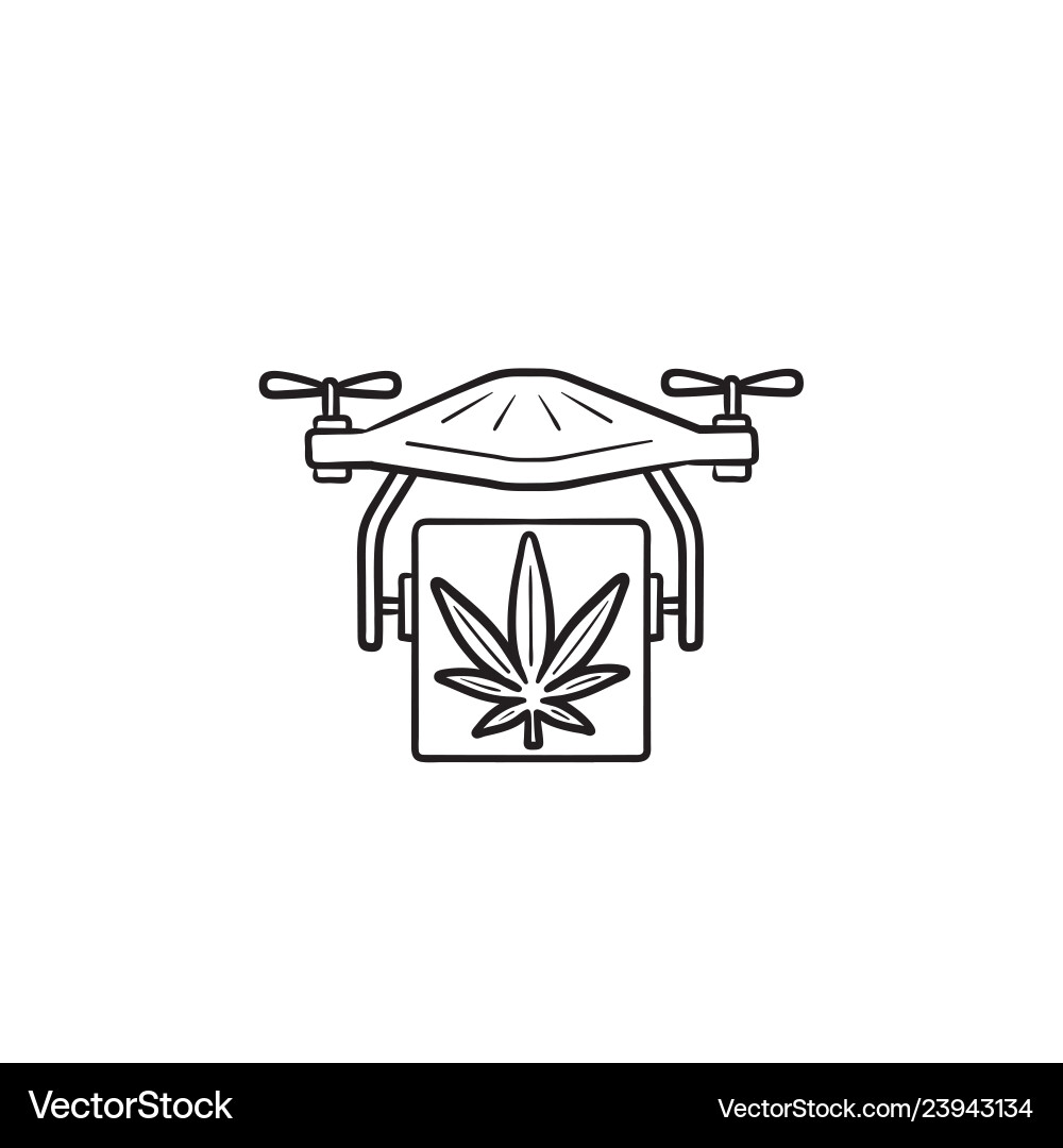Cannabis drone delivery hand drawn outline doodle Cannabis drone delivery hand drawn outline doodle vector image