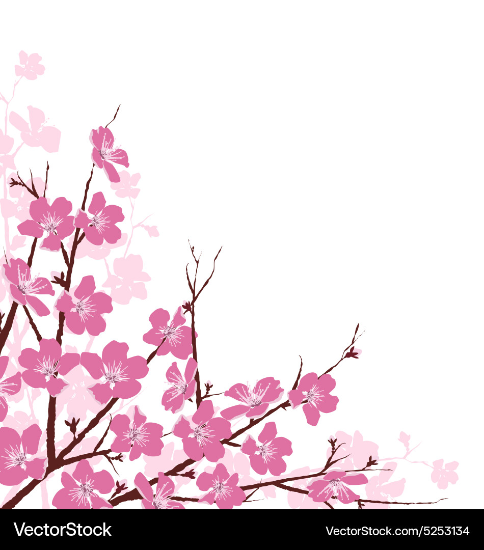 Pink Cherry Blossom Branches vector image