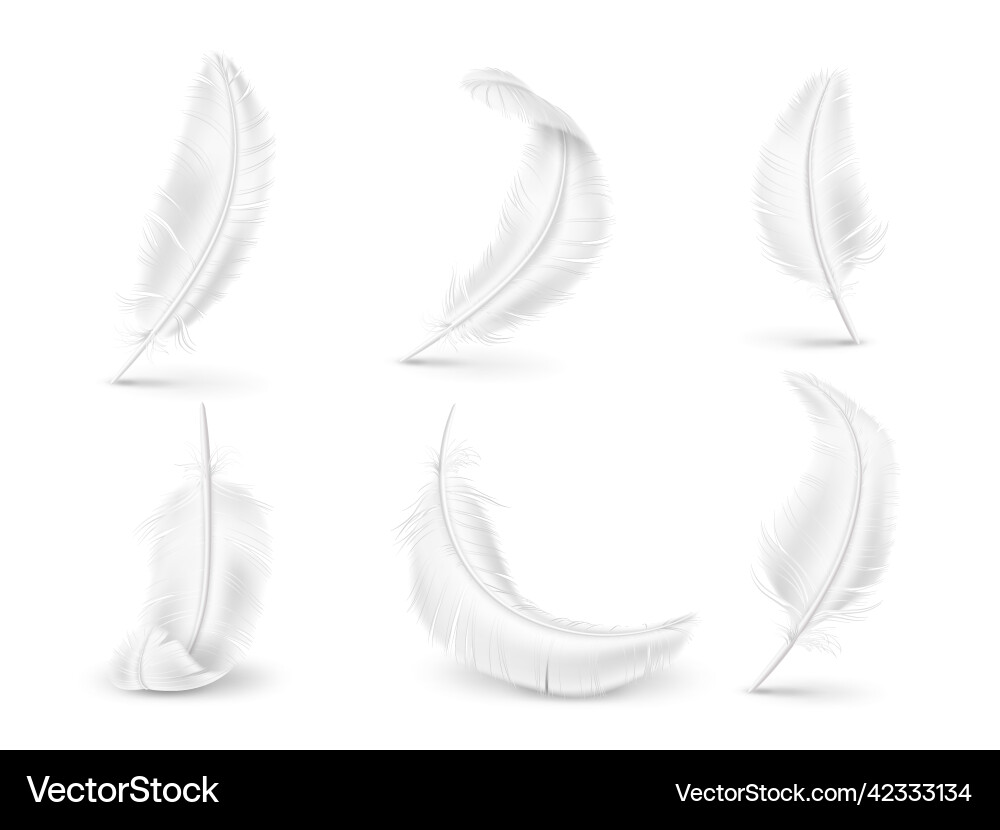 Realistische weiße Federn weiche und flauschige Vögel Realistische weiße Federn weiche und flauschige Vögel vektorbild