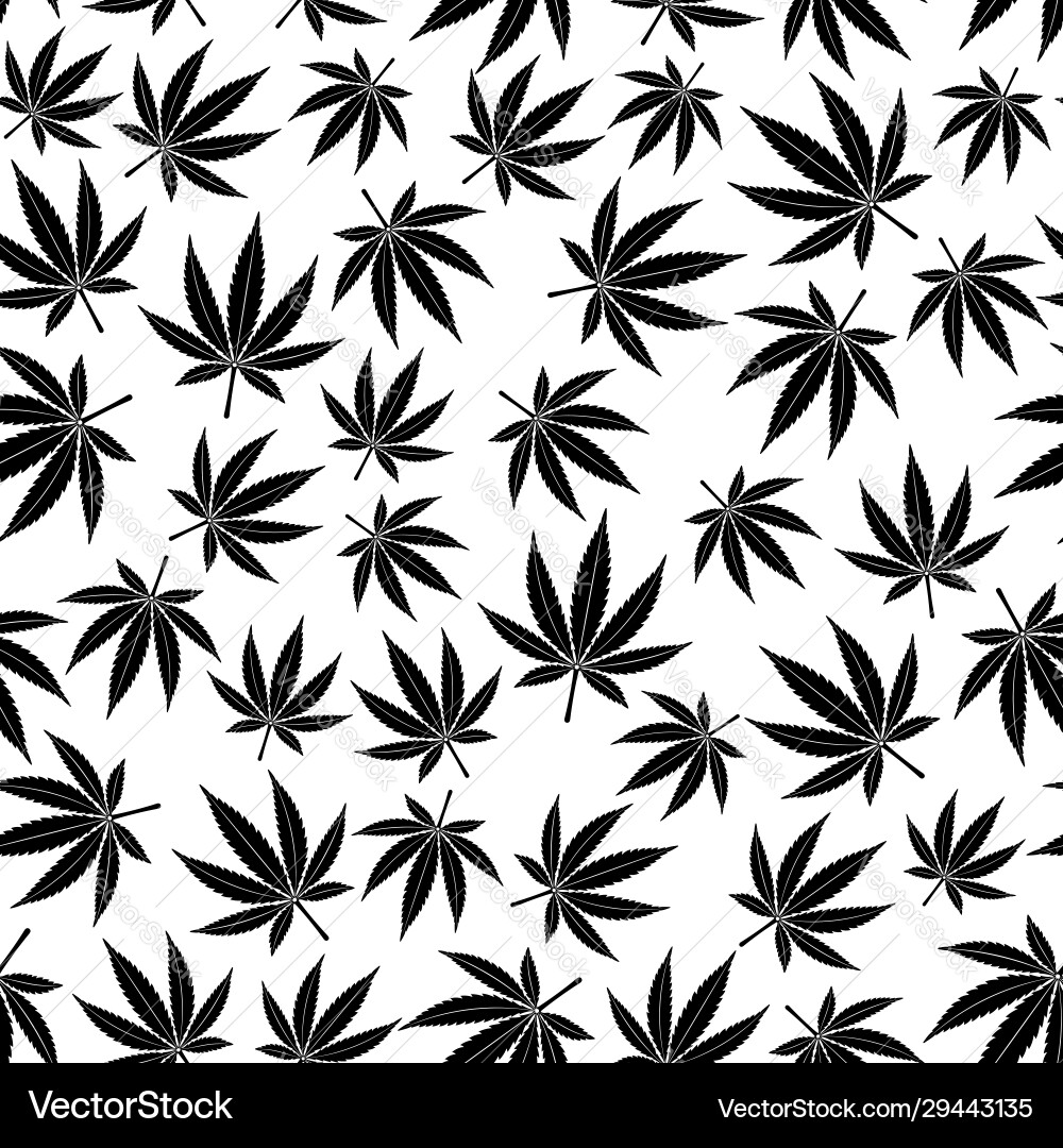 Cannabis Leaf Pattern vector image