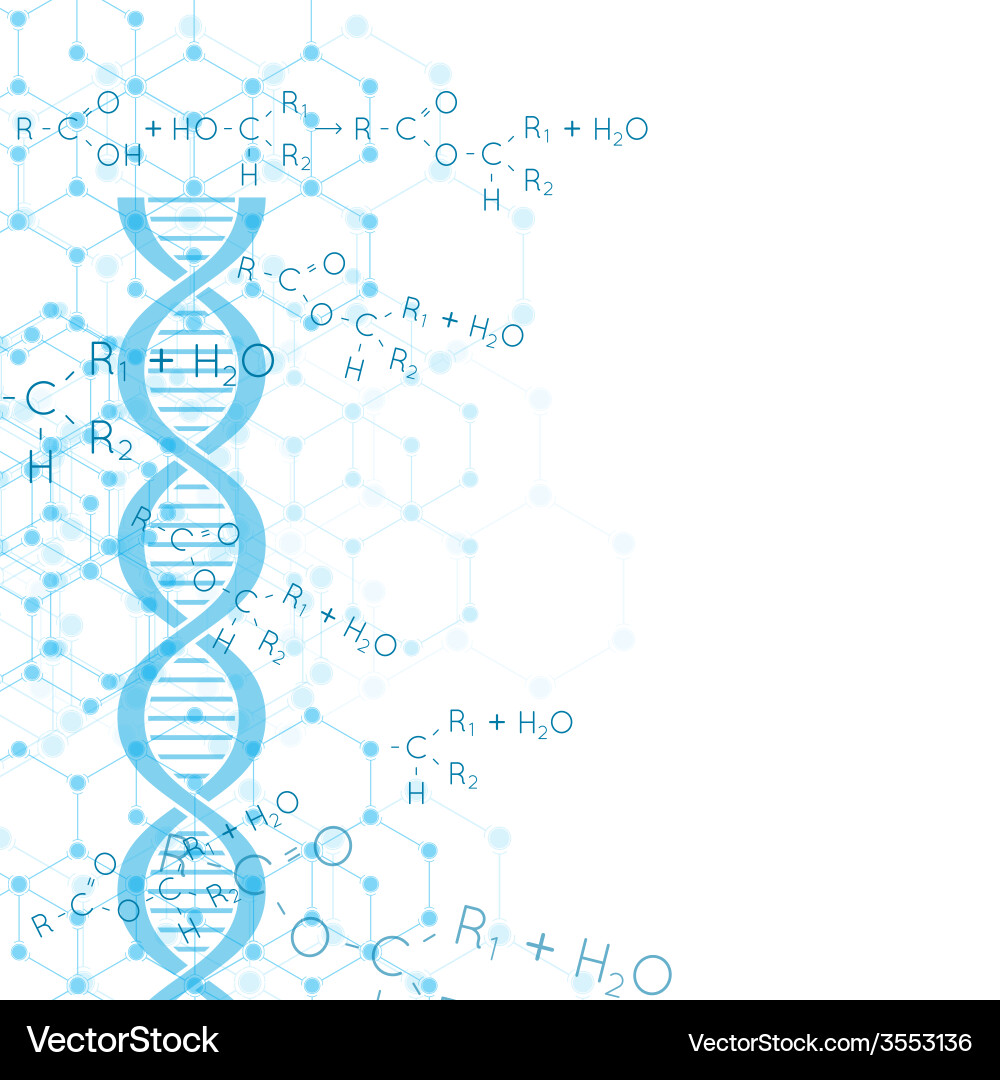 Abstract background with dna molecule structure vector image
