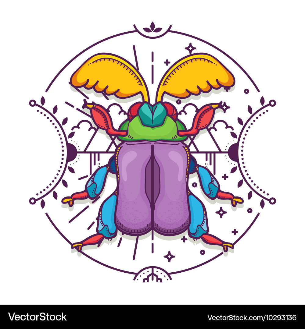 Beetle bug design elements with line graphic vector image