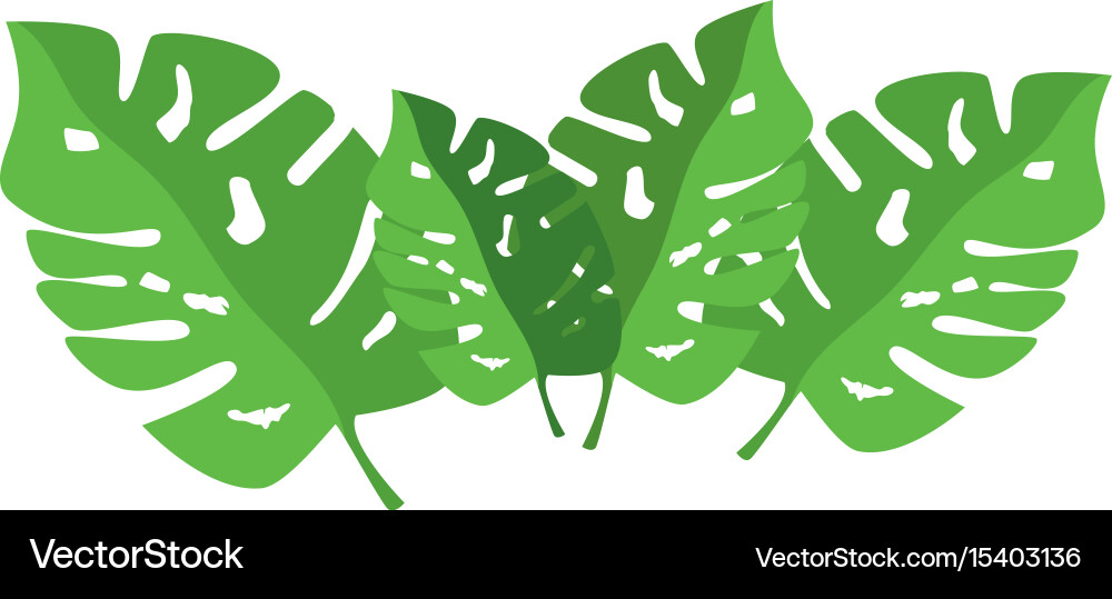 Isolated sheets tree vector image
