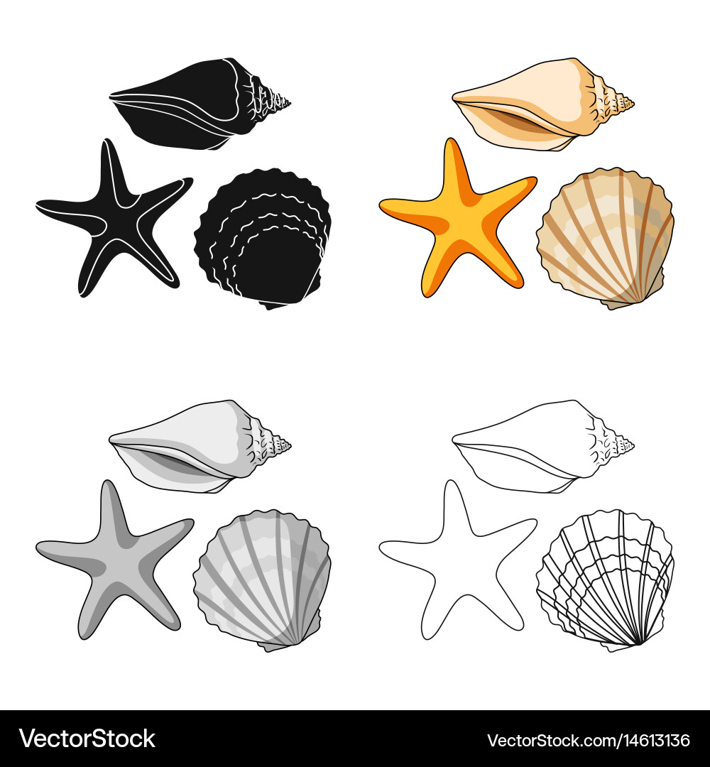 Seashells from the bottom of seasummer rest vector image