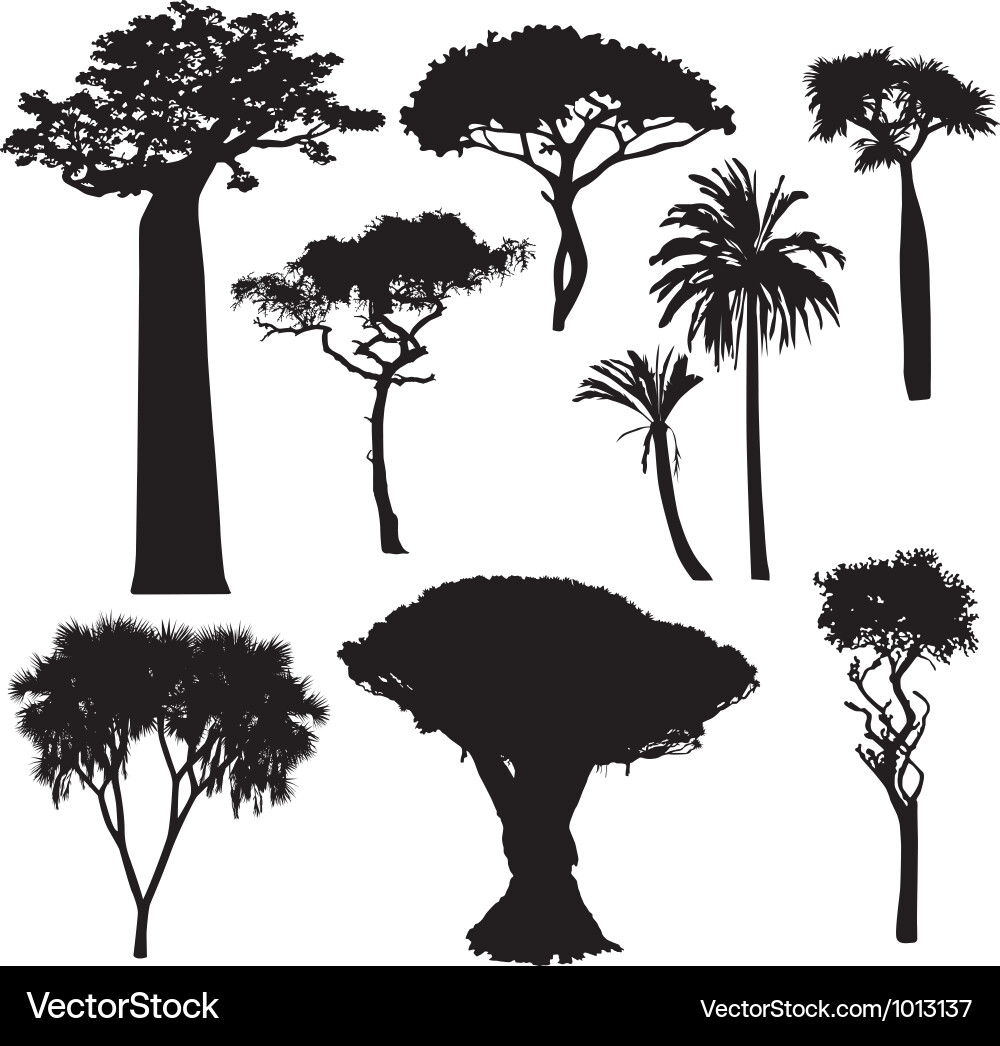 African Trees Vector Images (over 13,000)
