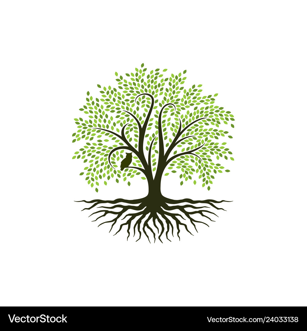 Abstract Tree Logo - Roots & Growth vector image