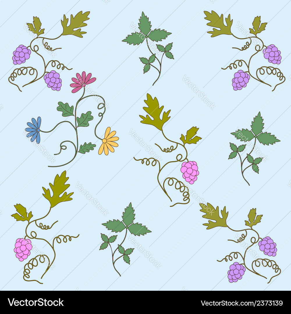 Grape seamless pattern vector image