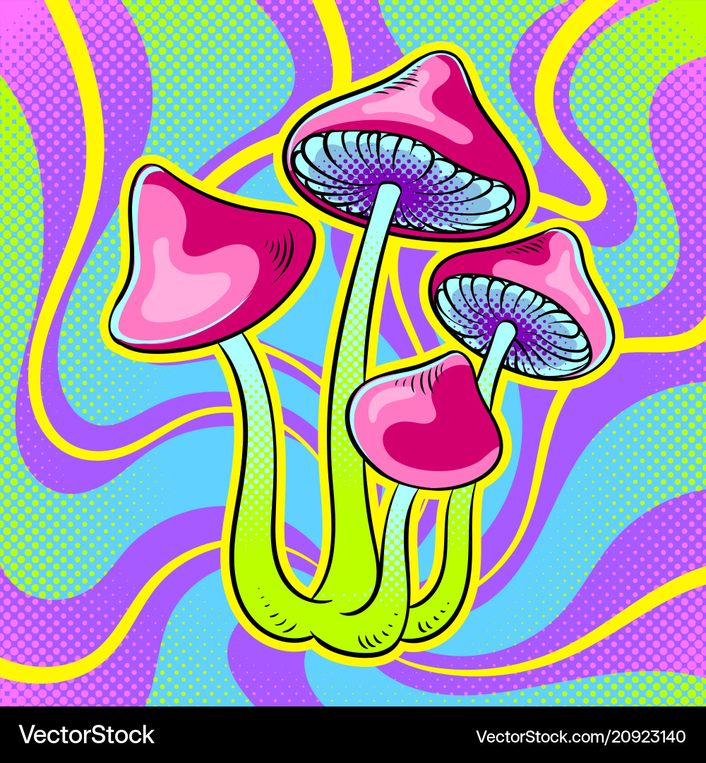 Psychedelic Mushroom Pop Art vector image