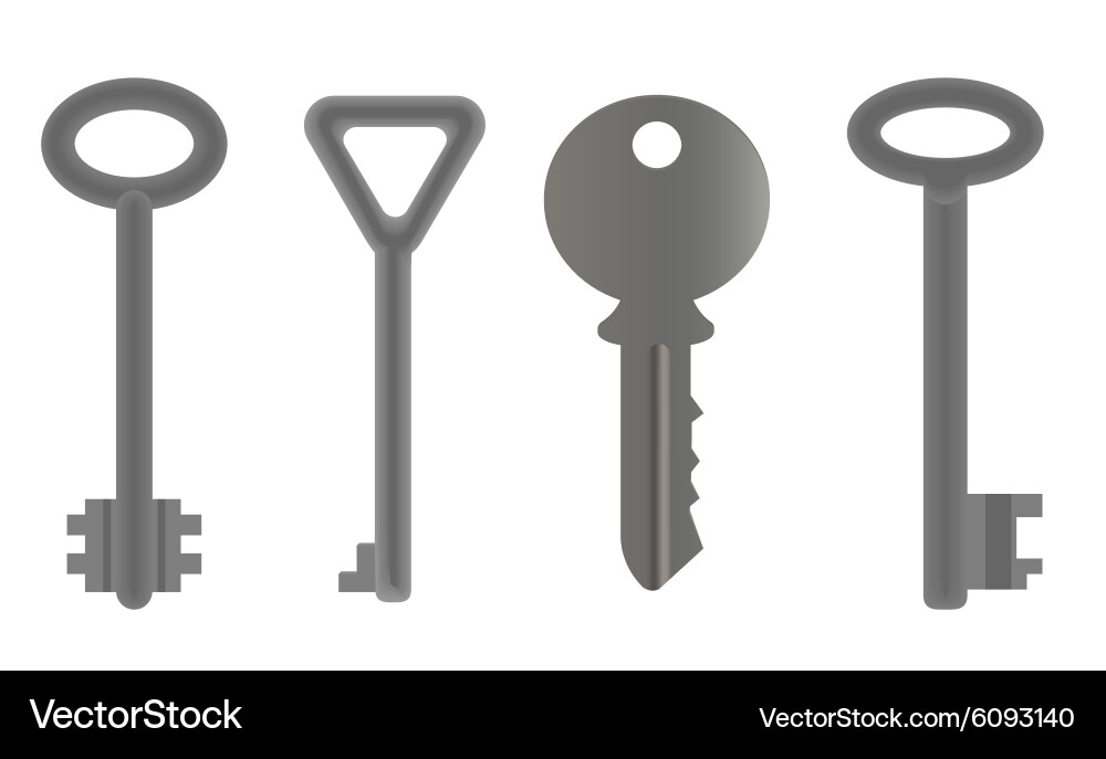 Set of keys Vector Image