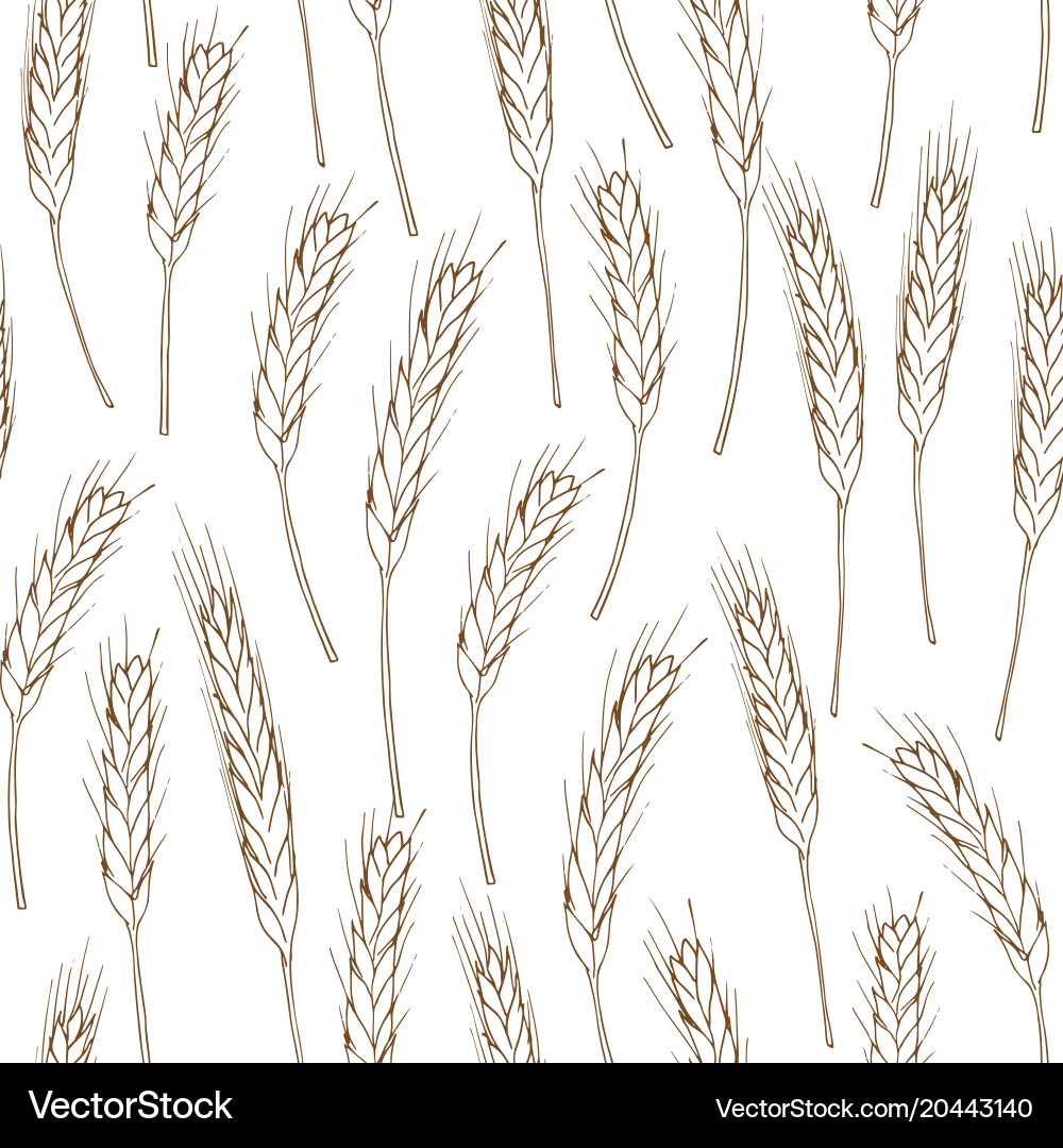 Wheat Spikes Seamless Pattern vector image