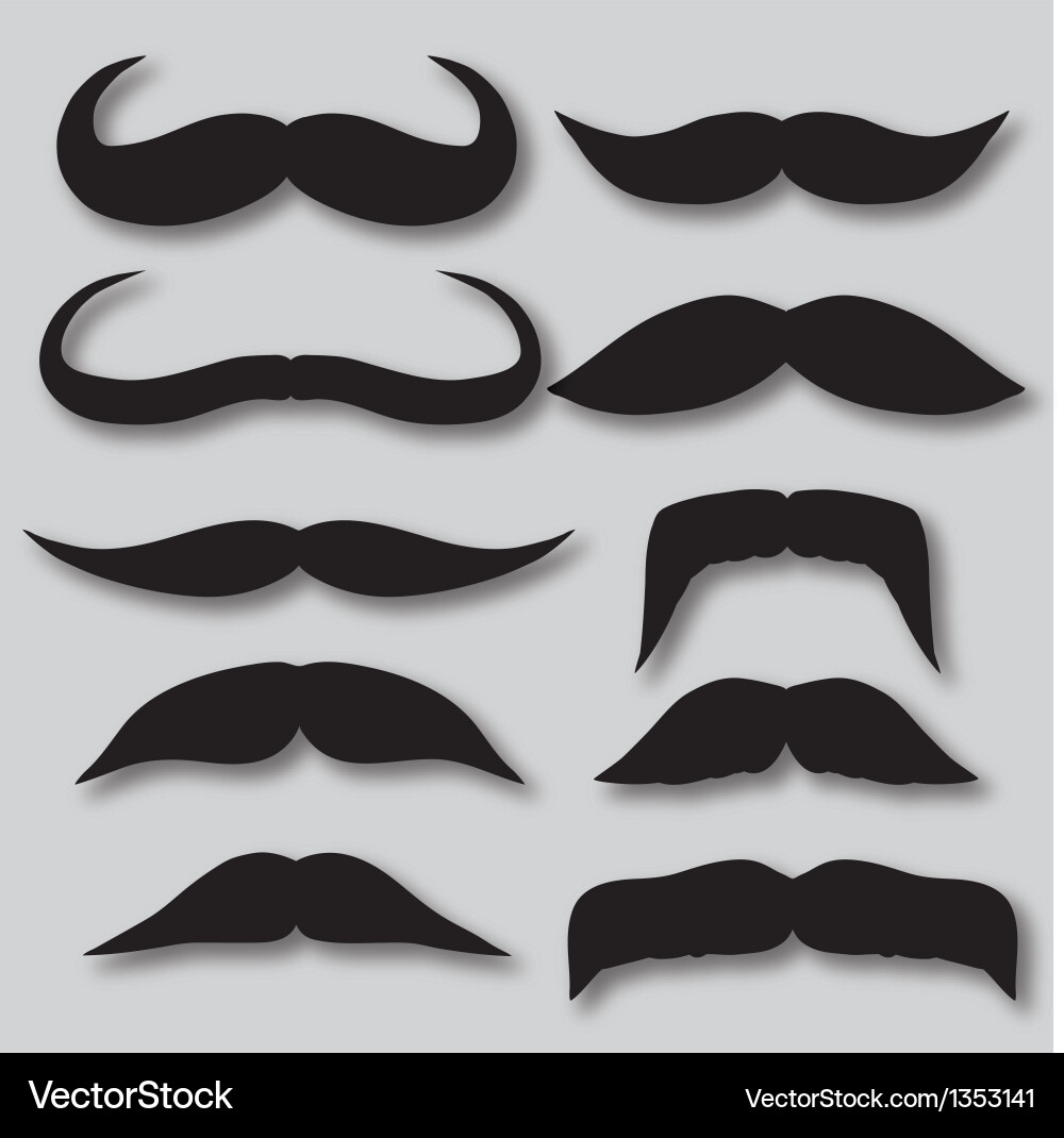 Different types of mustaches retro style vector image