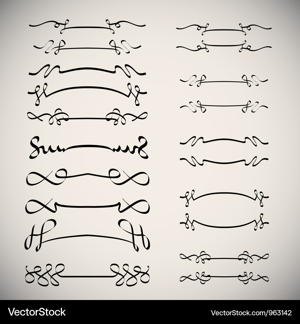 Elegant Calligraphic Swirls & Scrolls Vector Image