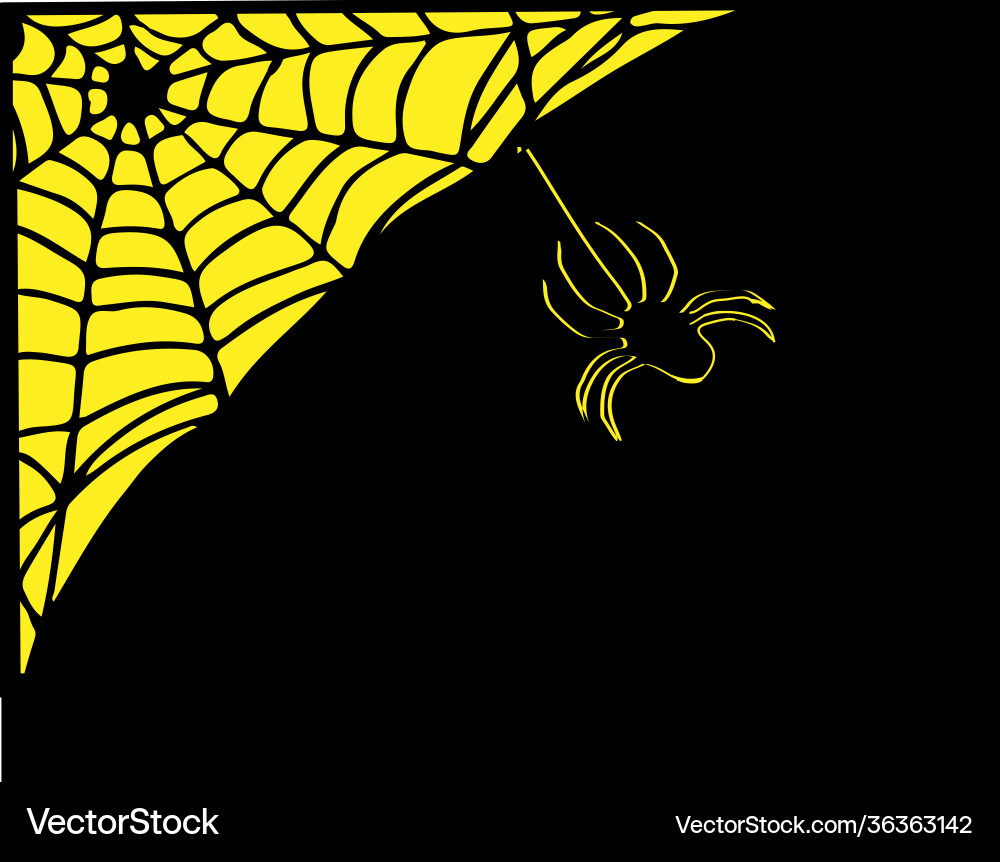 Spider web isolated on background Spider web isolated on background vector image