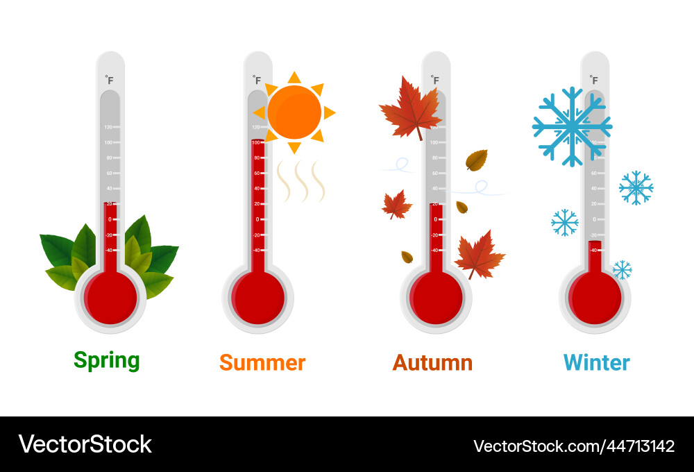 Thermometer showing the temperature for each Vector Image