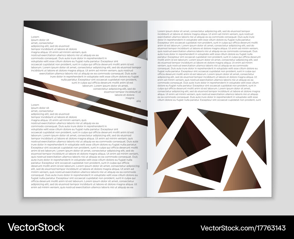 Abstract layout background set for art Vector Image