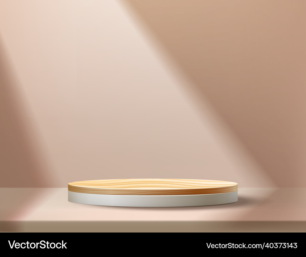 Empty product stage realistic 3d scene render Empty product stage realistic 3d scene render vector image
