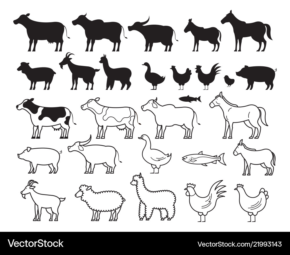Farm Animal Silhouettes and Line Art Vector Image