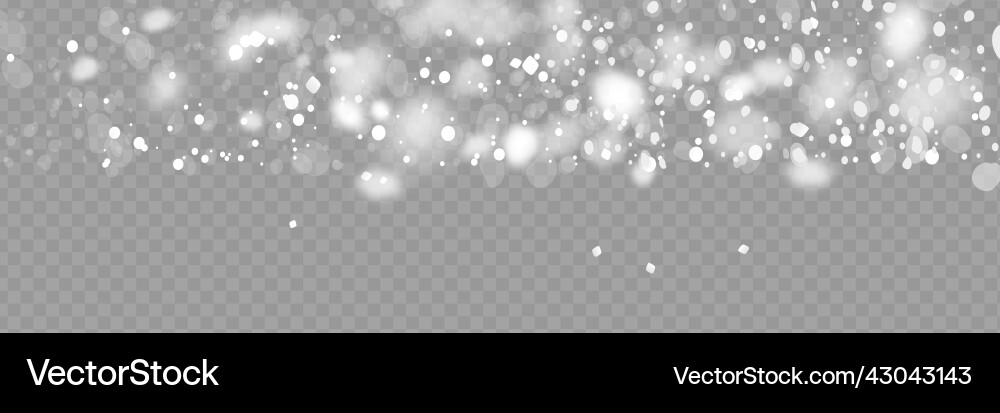 Snowfall snowflakes in different shapes and forms vector image