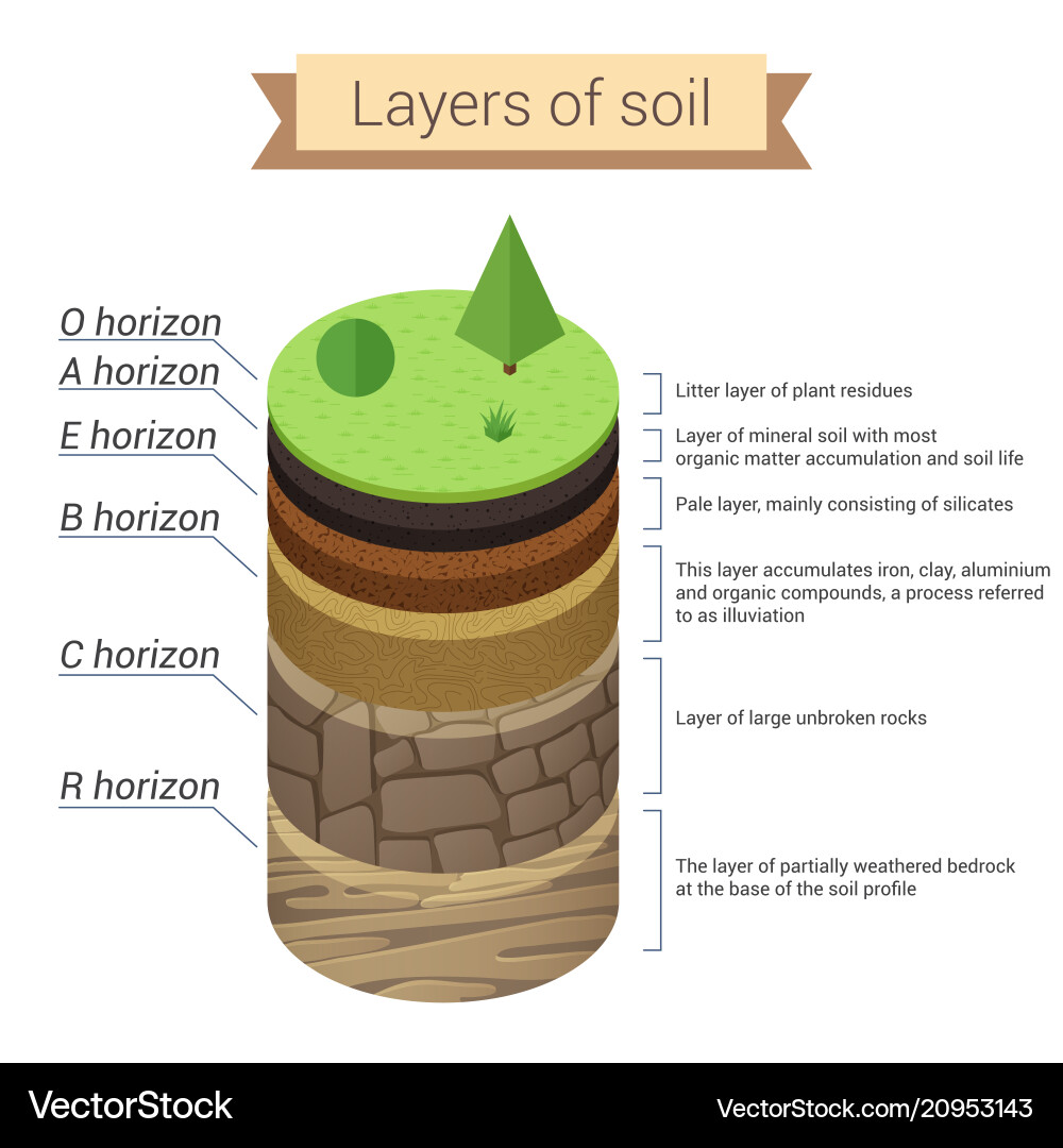 Soil Layer Composition Vector Image