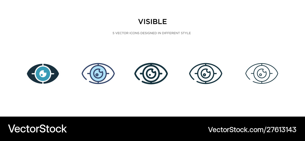 Visible icon in different style two colored Vector Image