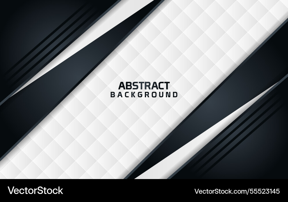 Abstract dark combine with white line textured Vector Image