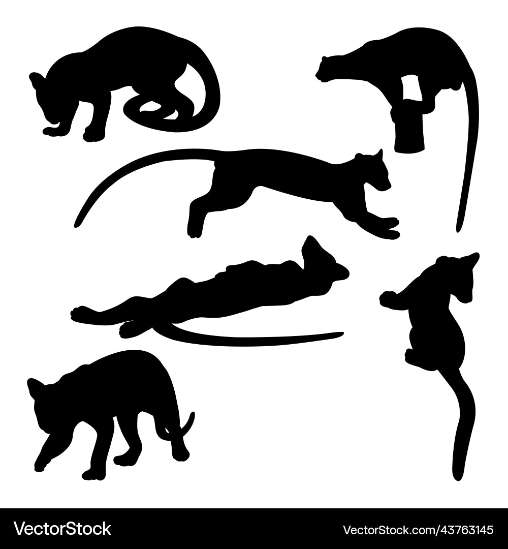 Fossa Vector Images \u0026 Graphics for Commercial Use | VectorStock, image size:1000x1080