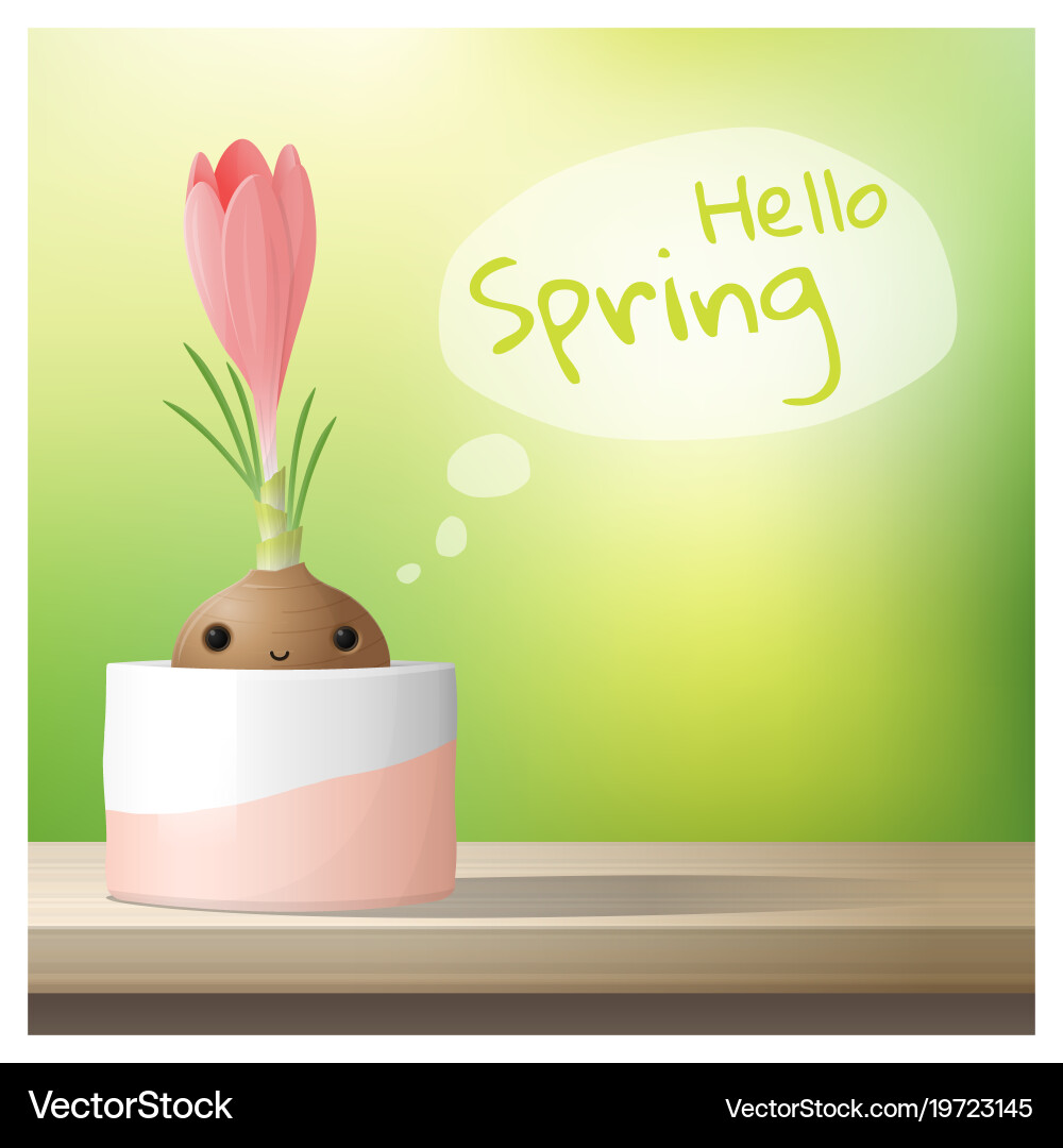 Hello spring background with flower crocus vector image