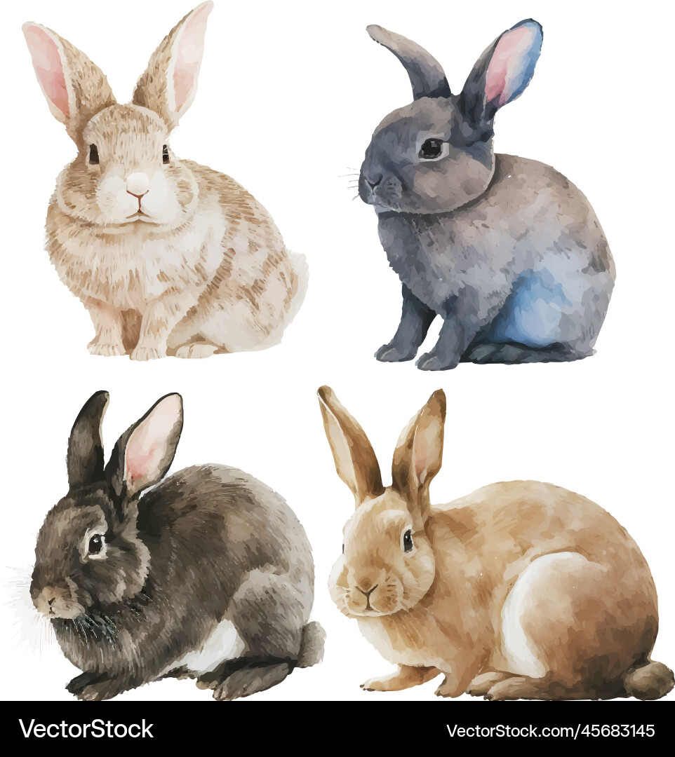 Watercolor of a cute fluffy grey rabbit Watercolor of a cute fluffy grey rabbit vector image