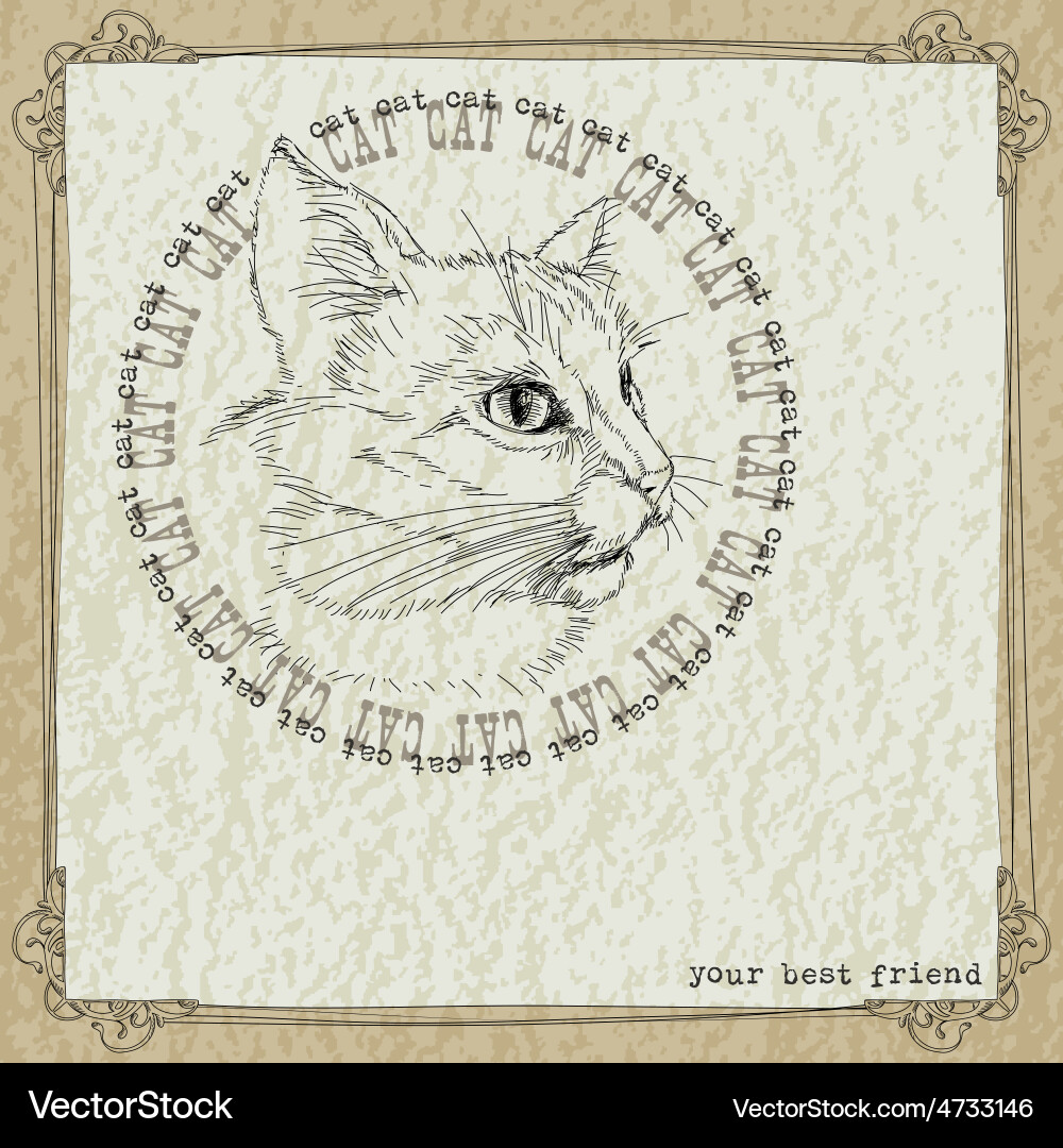 Background with cat Vector Image