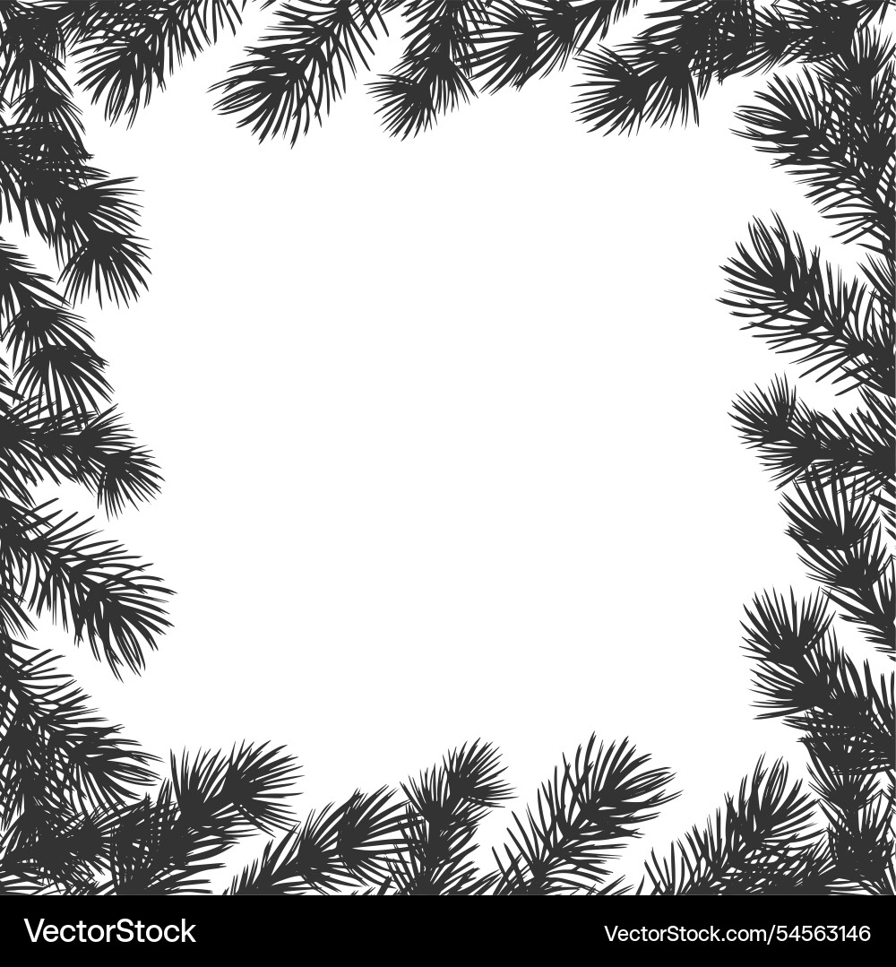 Pine tree branch christmas square frame fir twig Pine tree branch christmas square frame fir twig vector image