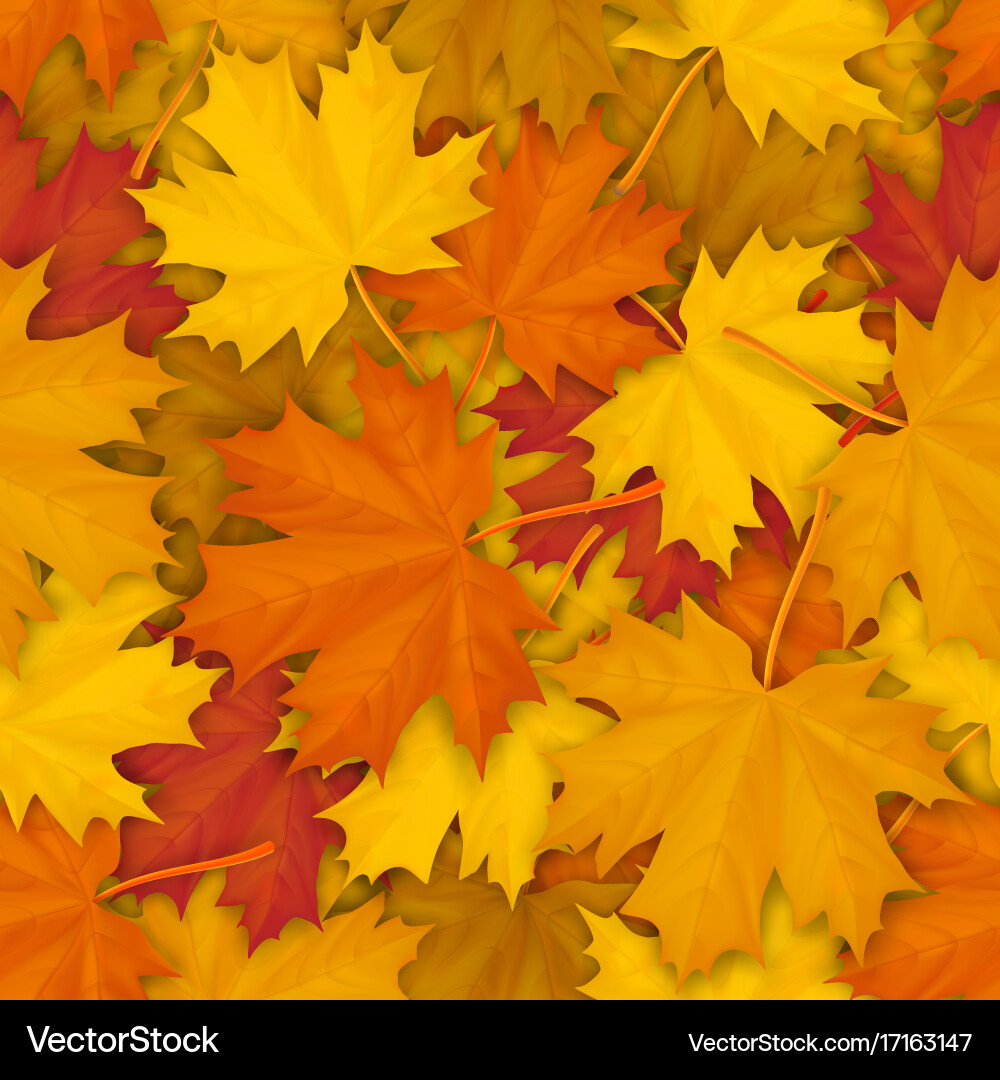 Autumn Maple Leaves Pattern Vector Image