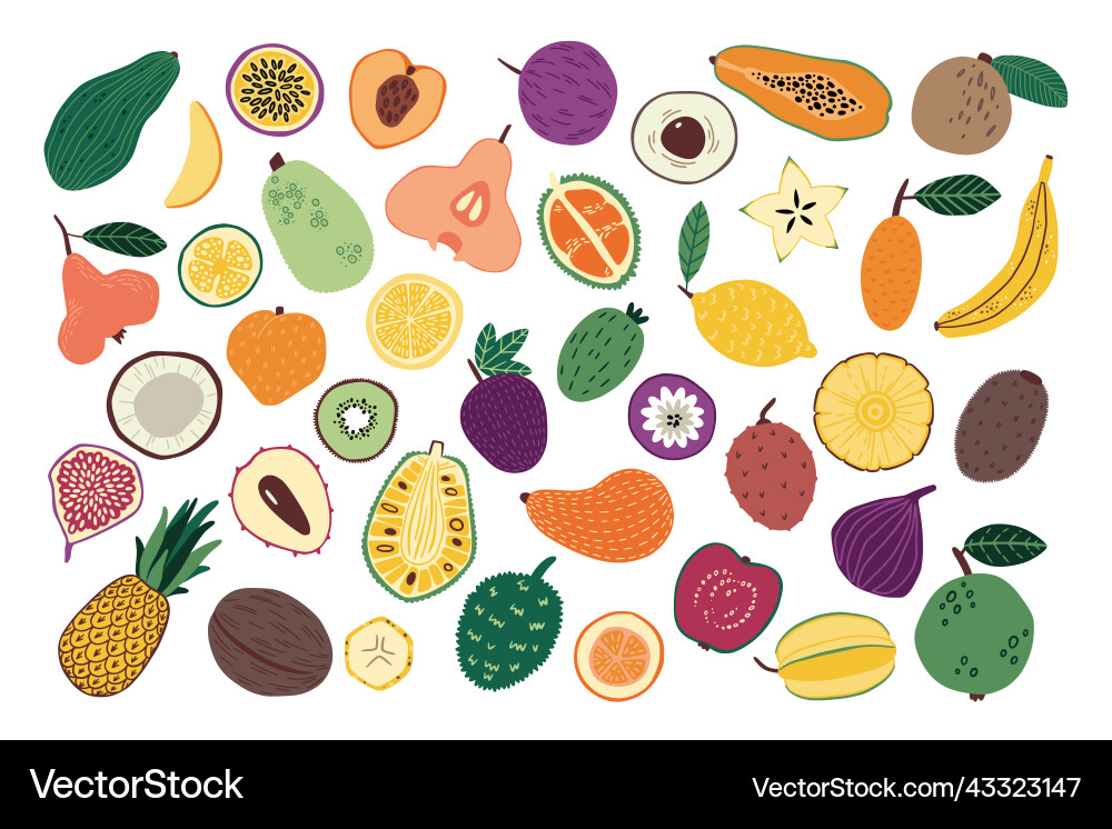 Hand drawn fruits sketch of doodle natural food Hand drawn fruits sketch of doodle natural food vector image