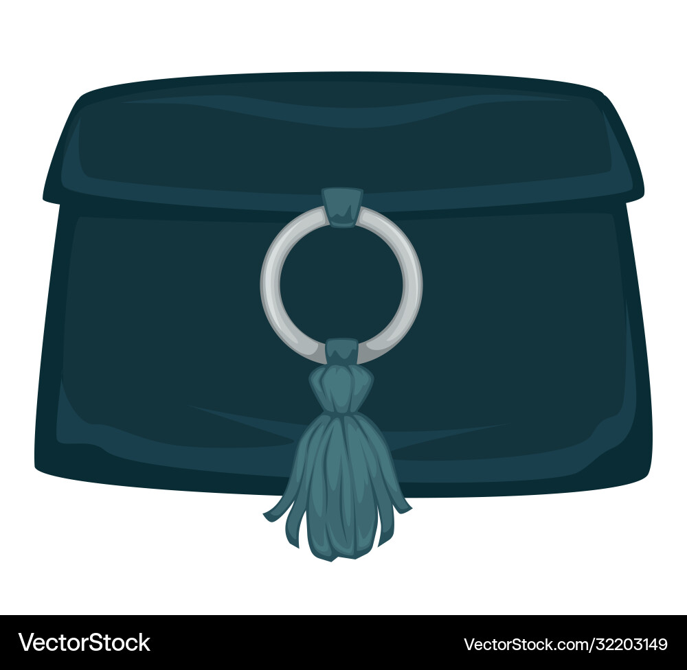 Clutch with decoration women fashion and trendy vector image