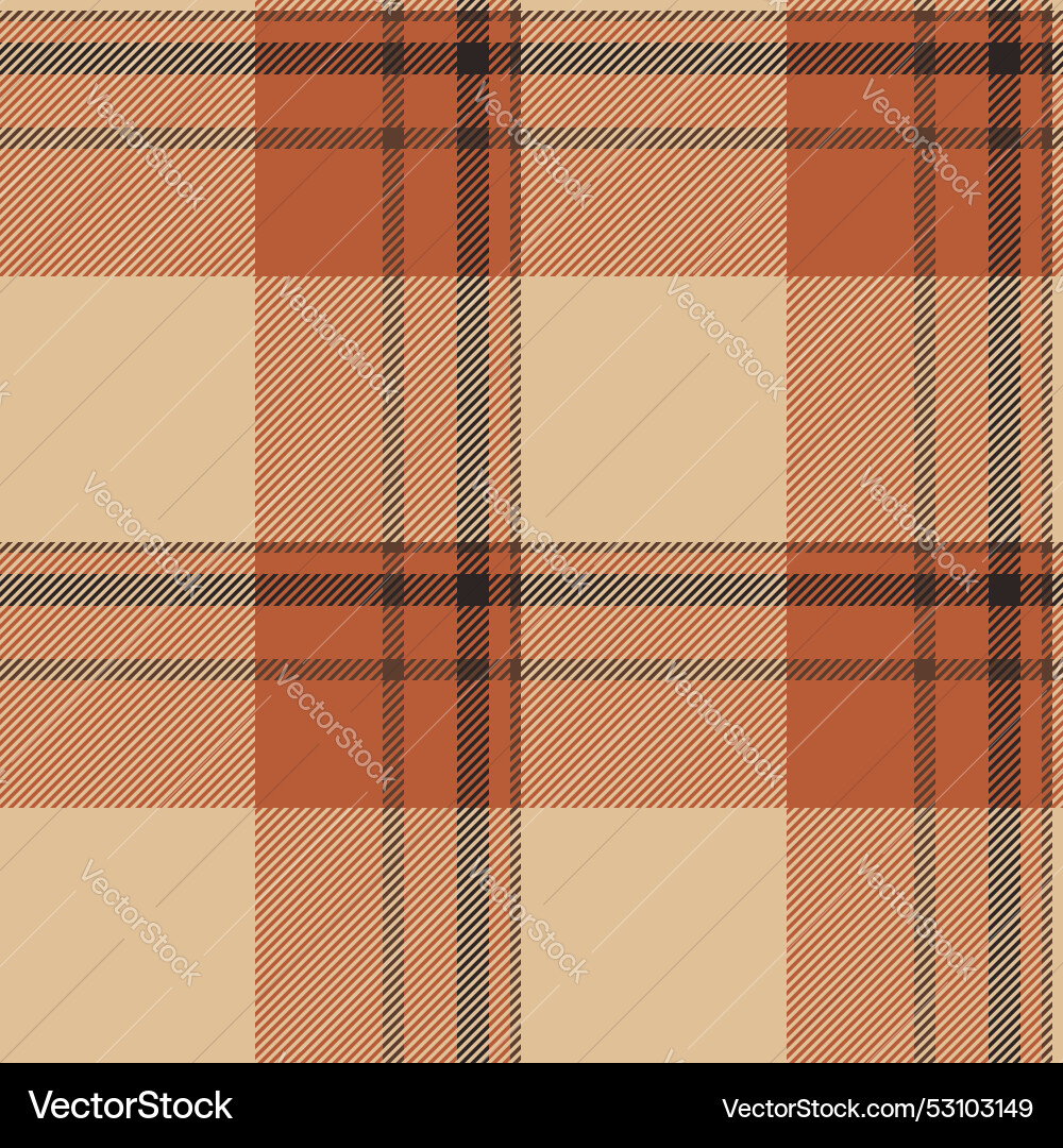 Cross seamless texture tape pattern textile Cross seamless texture tape pattern textile vector image