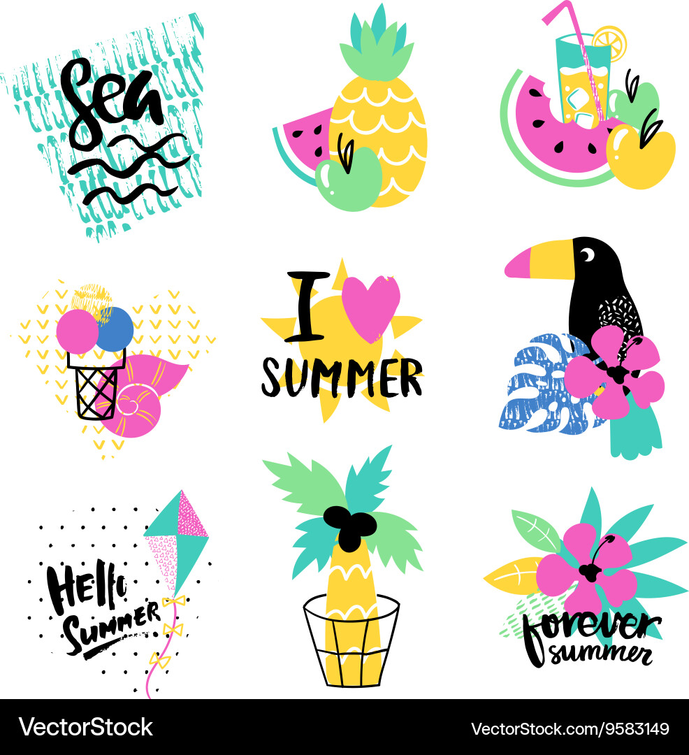 Tropical Summer Elements vector image
