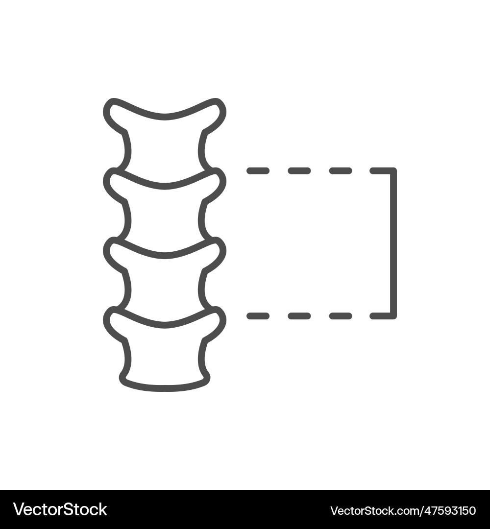 Spine segment line outline icon Spine segment line outline icon vector image