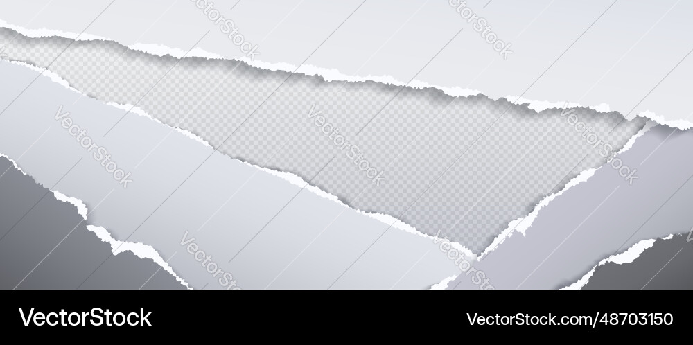 Torn paper edge texture background rip border Torn paper edge texture background rip border vector image