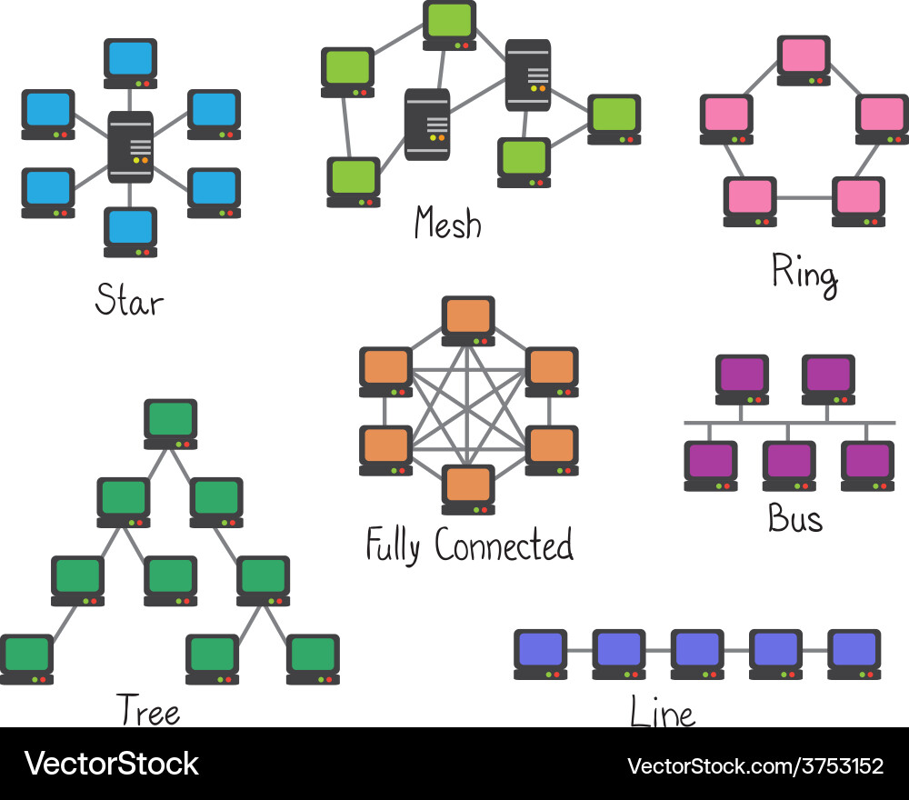Network Topologies - Computer Networks vector image