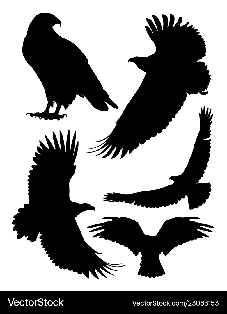 Eagles birds animal silhouette Eagles birds animal silhouette vector image