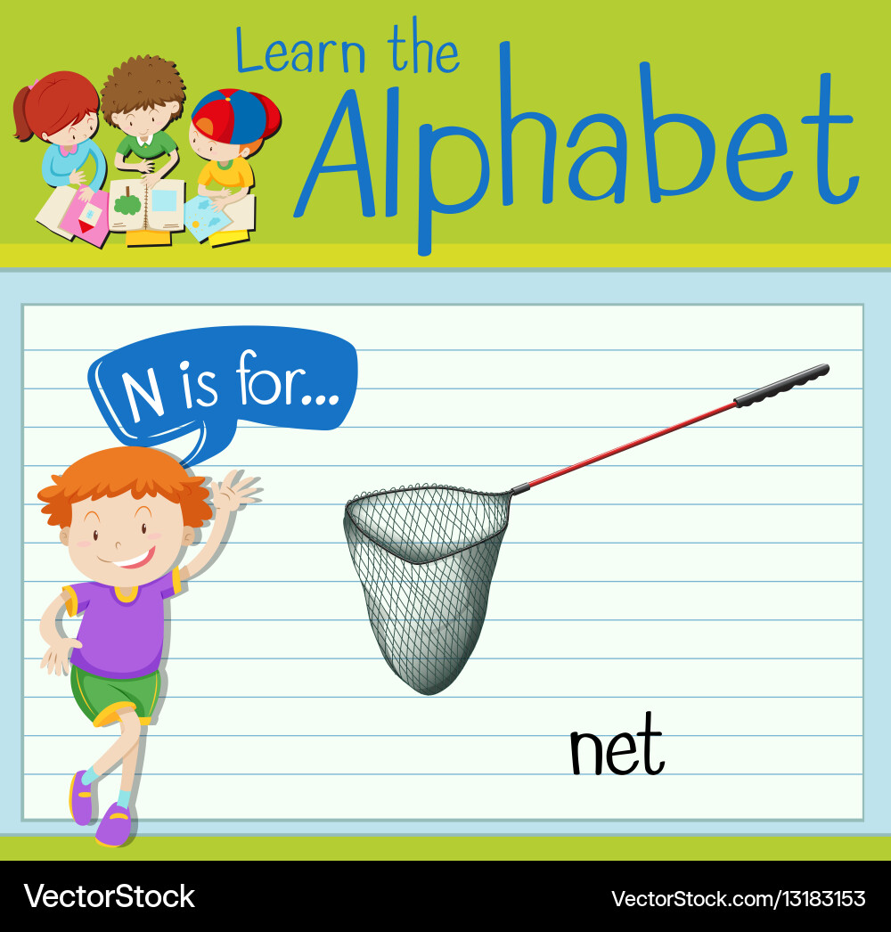 Flashcard letter n is for net Vector Image