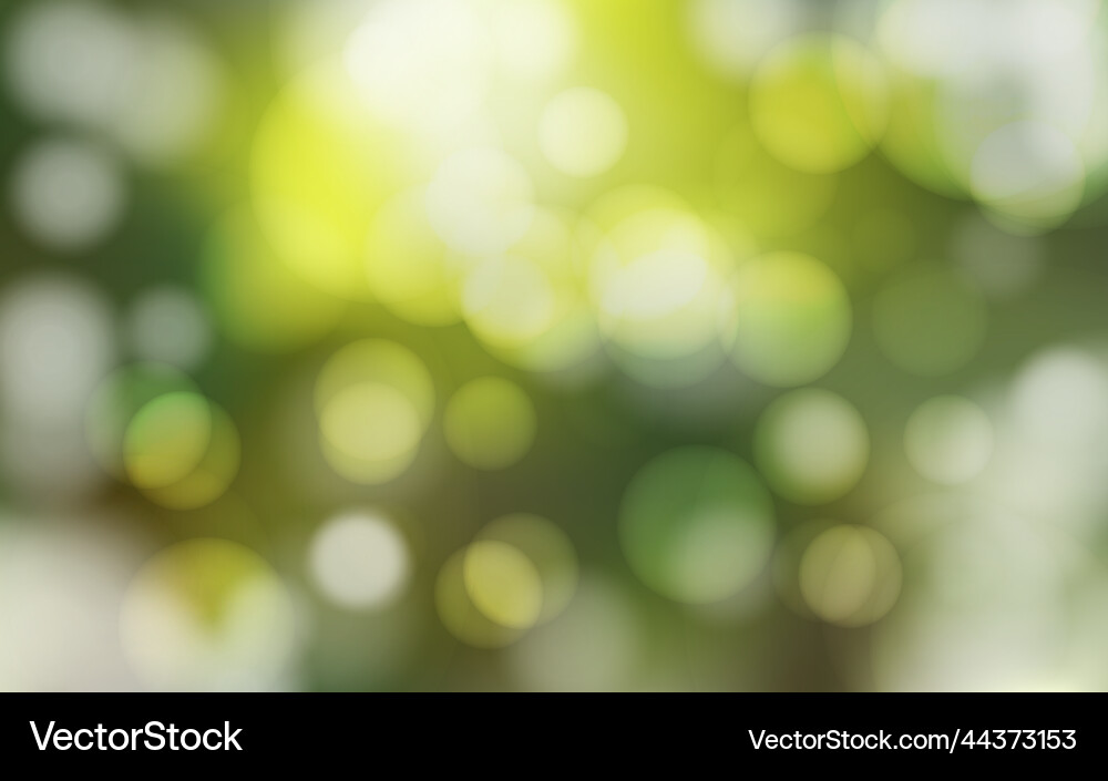 Forest Bokeh Lights - Abstract vector image