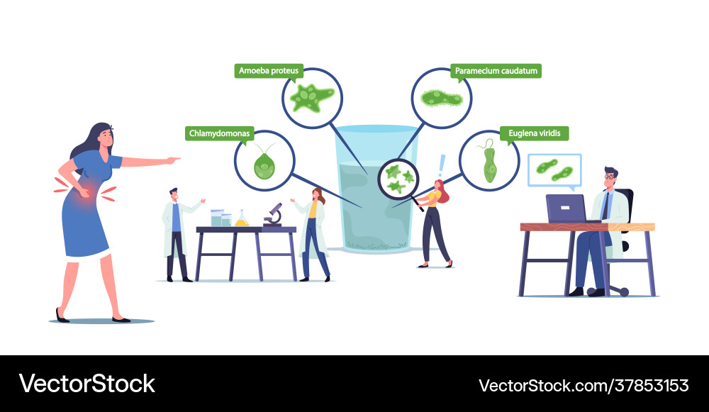 Tiny scientist characters in laboratory learning Vector Image