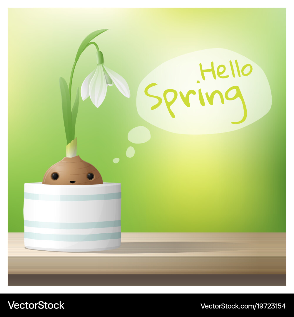 Hello spring background with snowdrop flower vector image
